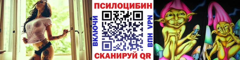 Псилоцибиновые грибы Psilocybe  Нижнеудинск 